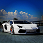 Exquisite White Lambo #豪车# #超跑#