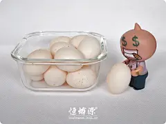 恒沃鸽子蛋新鲜白鸽蛋农家散养宝宝营养辅食鸽蛋鸽子蛋包邮顺丰-tmall.com天猫