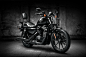 Night Riders : Harley Davidson Motorcycles concept