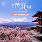雅诗阁日本东京京都豪华2晚套票  高星酒店家庭出游度假预订