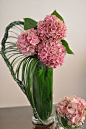 flower arragement, Hydrangea, Beargrass, Anthurium: 