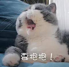 来一发大脸猫表情包，脸大垂地～