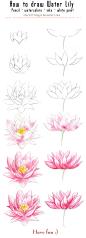  Scarlett-Aimpyh 的四种花的画法以及人体动态练习