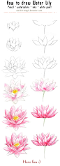Scarlett-Aimpyh 的四种花的画法以及人体动态练习