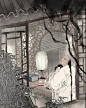 插画师：尧立