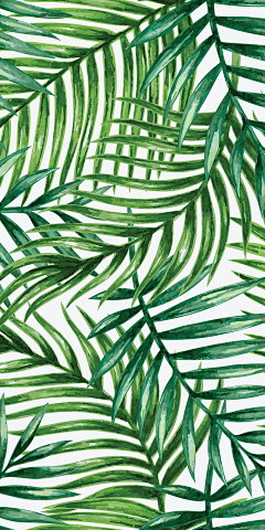 哒惜采集到植物PNG