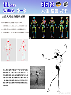 泥可可采集到人体-002