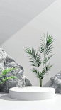 素材库·场景 _ 白色空间_极简_绿植_7_有材又Ai玩_来自小红书网页版