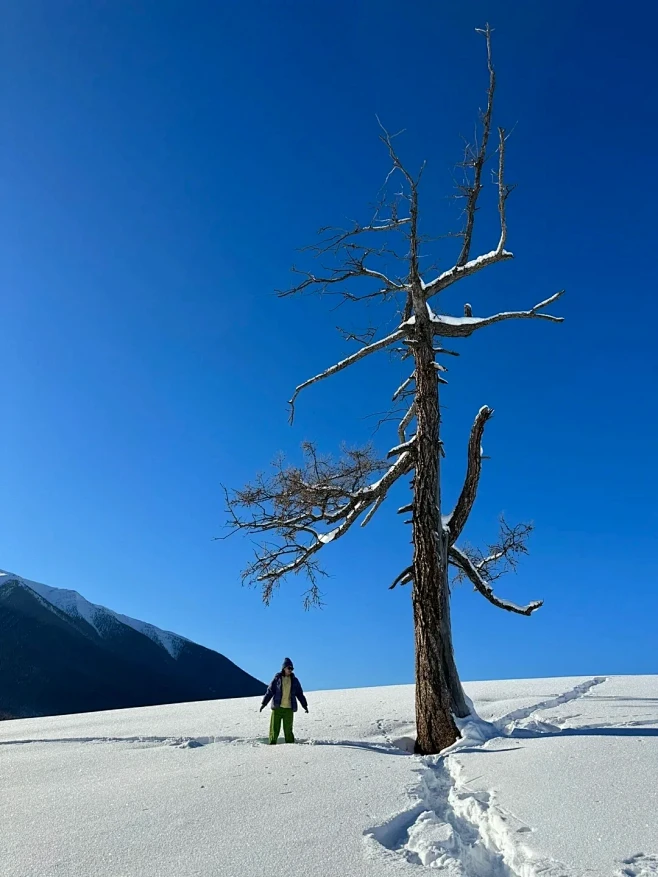 我的阿勒泰丨孤独的树与灵魂相遇组队_2_新游记旅行-高端定制_来自小红书网页版