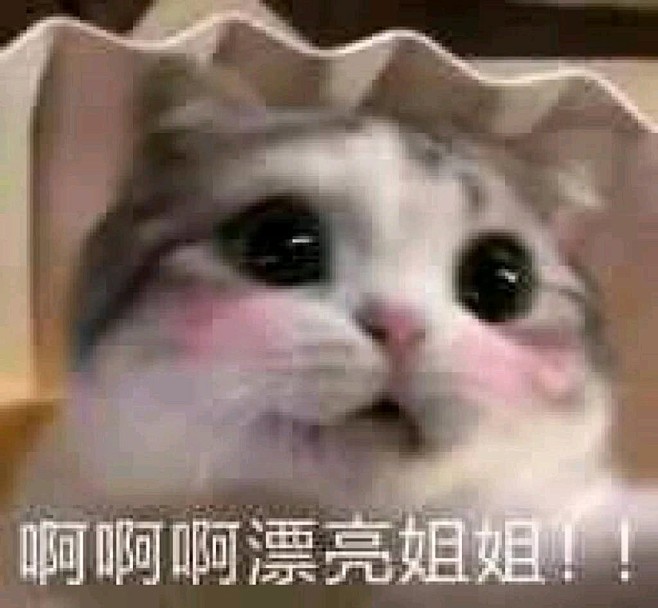来自分享