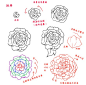 【玫瑰&牡丹】两种花的画法，注意两种花以及花瓣的形态上的区别。第5P长条图备用。（via：kelpls）