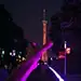 天空采花大道