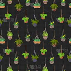 植物群,锅,四方连续纹样,悬挂的,华丽的,花盆,壁纸,植物,挂衣架,花