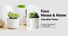 Literary Home Indoor Greent Plants Promo Ecommerce Banner