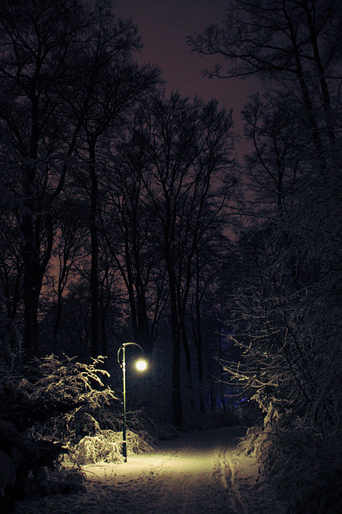 路灯当你摸索着走在黑暗中当你在恐惧无助中前行是否期待前方一盏亮起