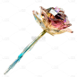 立体三维玫瑰3