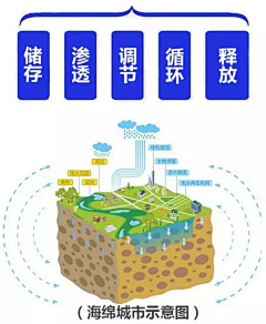 一滴泪的单纯采集到海绵城市