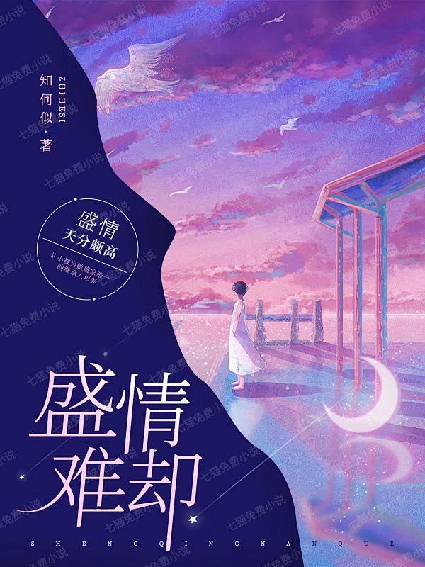 七猫小说封面女频-盛情难却