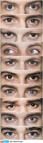 [这里是截取自10位欧洲男模的双眼，一眼看下来，最吸引你的是哪一双？（@Edwin埃德文）]