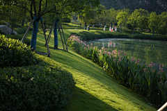 耶博小可爱biu~采集到Landscape丨植物造景