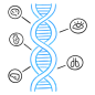 DNA 插图 - 自由透明 PNG，SVG。无需注册。