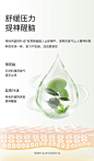 润本叮叮舒缓棒儿童宝宝婴儿孕妇跳蚤蚊子蚊虫叮咬止痒膏随身神器-tmall.com天猫