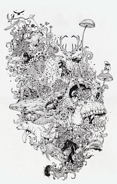 陈*丫采集到插画*黑白线绘