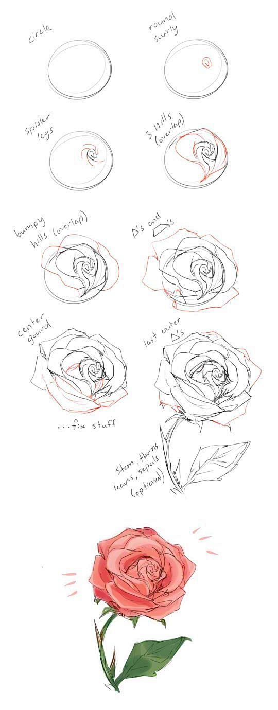 How to draw a rose t...