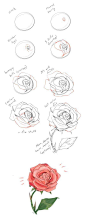 How to draw a rose tutorial by cherrimut on tumblr: