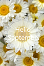 Hello September，每天醒来看你和阳光都在，那就是我要的未来。