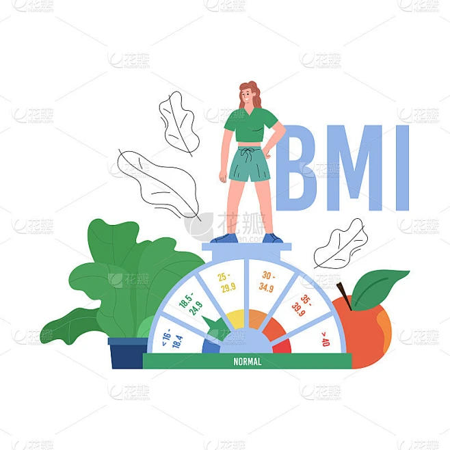 BMI身体质量指数或体重身高比平面矢量插图孤立。素材-花瓣网