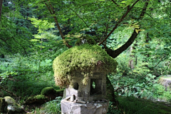 王慧宇可爱多采集到jianzhu素材
