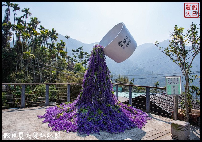 瑞里紫藤花況搶先報．目前綠色隧道休息站前...