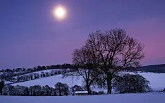 唯美纯洁的雪景桌面高清壁纸桌面壁纸2
