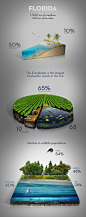 Florida Wildlife : Illustrations for Florida Wildlife Decline infographic