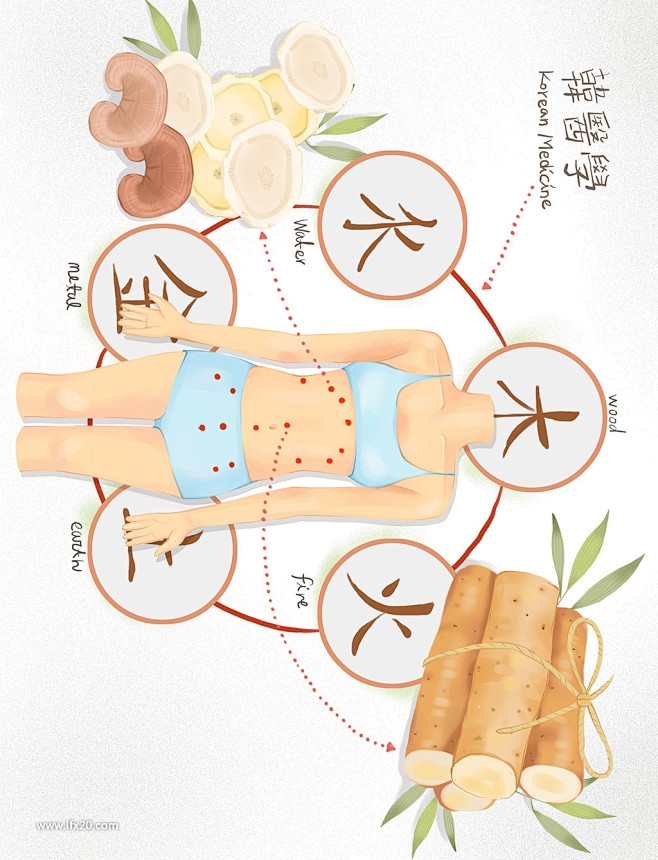 中医药膳针灸蘑菇林芝枸杞人参中式医疗医学...