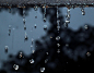 Icy Rain. 摄影：Robrrt.