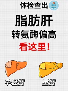 小油肝亲测有用‼从肝脏中祛除脂肪的成分‼ - 小红书