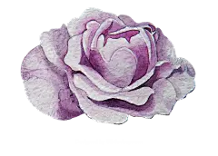 手绘花 蝴蝶 叶子 花环 钻石 花瓣 png素材