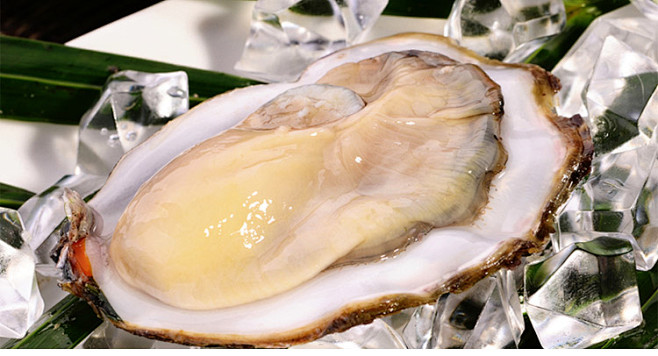 鹏鲜生新西兰进口生蚝马尔伯勒牡蛎鲜活l码超大12只即食海鲜淘宝网