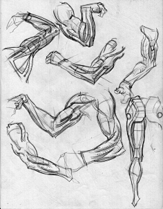 肌肉局部-花瓣网|陪你做生活的设计师 | 人体解剖--骨骼,肌肉很全面的