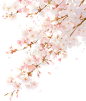 来自相册