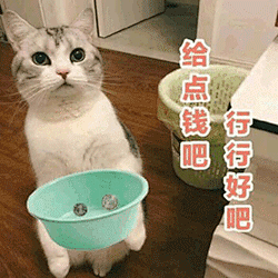 给钱钱吧，行行好吧#要零花钱#表情包-花瓣网