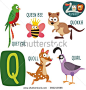 Cute zoo alphabet in vector. Q letter. Funny cartoon animals: Quetzal, Quail, Queen Bee, Quoll, Quokka. Alphabet design in a colorful style. -教育,其它-海洛创意(HelloRF)-Shutterstock中国独家合作伙伴-正版图片在线交易平台-站酷旗下品牌