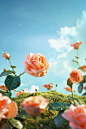 rose wallpapers 12 hd images rose hd picture, in the style of whimsical landscapes, rendered in cinema4d, light orange and sky-blue, canon ts-e 17mm f/4l tilt-shift, vibrant stage backdrops, beatrix potter, pastoral scenes