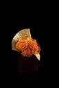 Nutan and golden lotus leaveon copper laquer vase Armani/Fiori