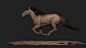 Flying horse , Moby Francis : Flying Horse :

This was a challenge for me to sculpt the model with asymmetry from scratch.hard to finish but good for study muscles in motion . Rendered using Maya, Arnold and Xgen.