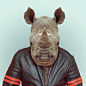 Funny Portraits of Animals Dressed Like Humans - My Modern Metropolis