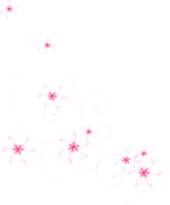 小樱桃清樱采集到免扣