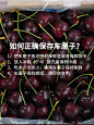 车厘子智利车厘子大樱桃黑珍珠桑提娜礼盒装大果新鲜水果顺丰包邮-tmall.com天猫